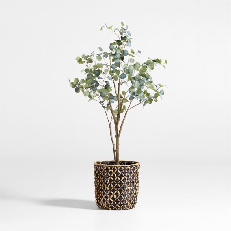 Viewing product image Faux Silver Dollar Eucalyptus Tree 6' - image 1 of 4