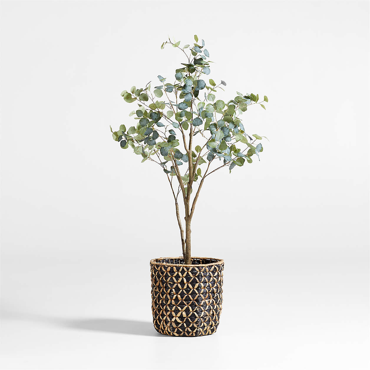 Faux Silver Dollar Eucalyptus Tree 6' + Reviews Crate & Barrel