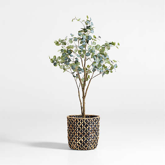 Faux Silver Dollar Eucalyptus Tree 6'