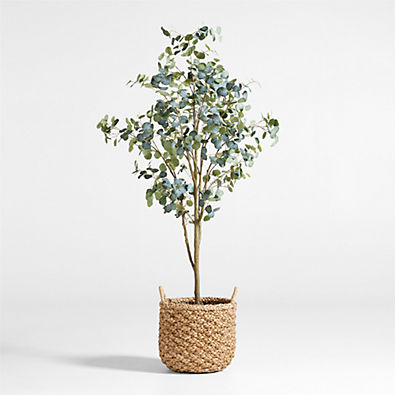 View Faux Silver Dollar Eucalyptus Tree 8' details