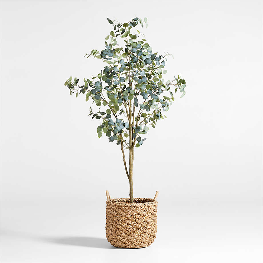 Faux Silver Dollar Eucalyptus Tree 8' + Reviews | Crate & Barrel