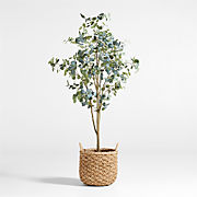 Faux Silver Dollar Eucalyptus Tree 8'