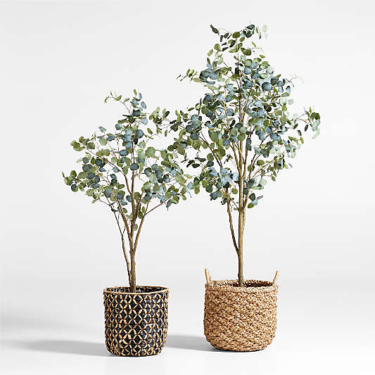 Faux Silver Dollar Eucalyptus Trees