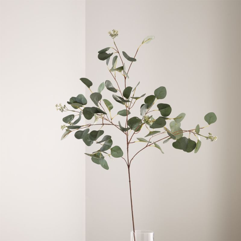 Faux Silver Dollar Eucalyptus Stem 48" - image 0 of 7