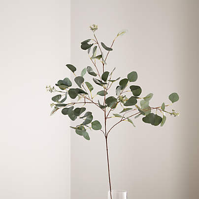 Faux Silver Dollar Eucalyptus Stem