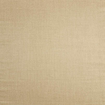 Sisal Almond Brown Area Rug 9'x12'