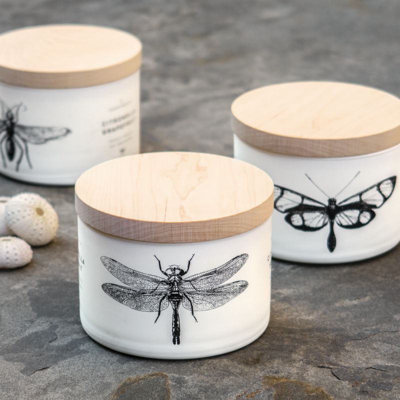 Citronella Candles
