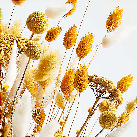 Dried Botanical Arrangement in Slope Vase