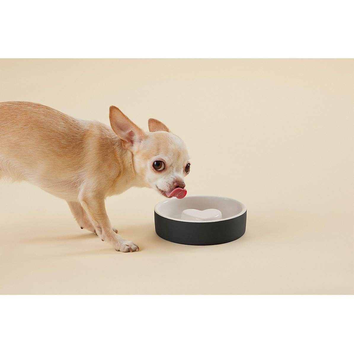 Pet Bowl Food Water Feeder Dog Cat Puppy Small Animals Eating