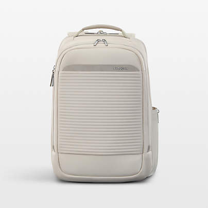Samsonite Paralux 2-in-1 Travel Backpack in Stone Grey