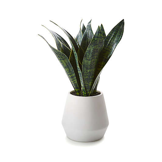 Faux Snake Plant in Pot