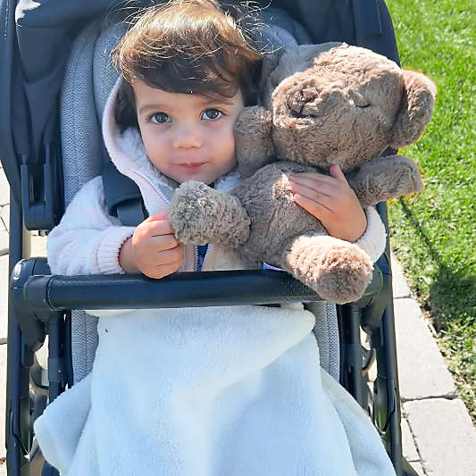 Happiest Baby SNOObear 3-in-1 Brown Plush White Noise Baby Toy