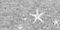 Grey with Stars