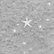 Grey with Stars