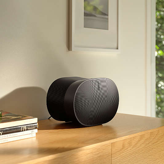 Sonos Era 300 Black Speaker