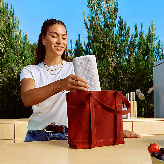 Sonos Play White Portable Bluetooth Speaker