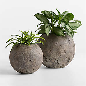 Indoor & Outdoor Planters: Wood, Wall Styles & More | Crate & Barrel