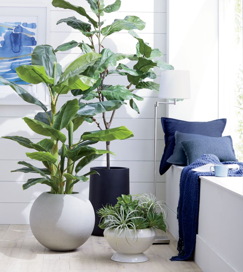 Faux 7' Fiddle Leaf Fig Tree - image 2 of 6