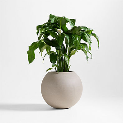 View Sphere Large Sand Indoor/Outdoor Planter 26"x22.5" details