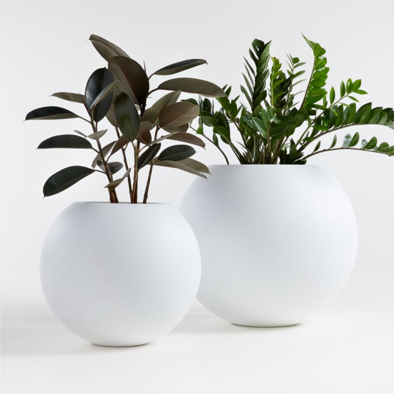 Indoor & Outdoor Planters