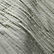 Shadow Sage