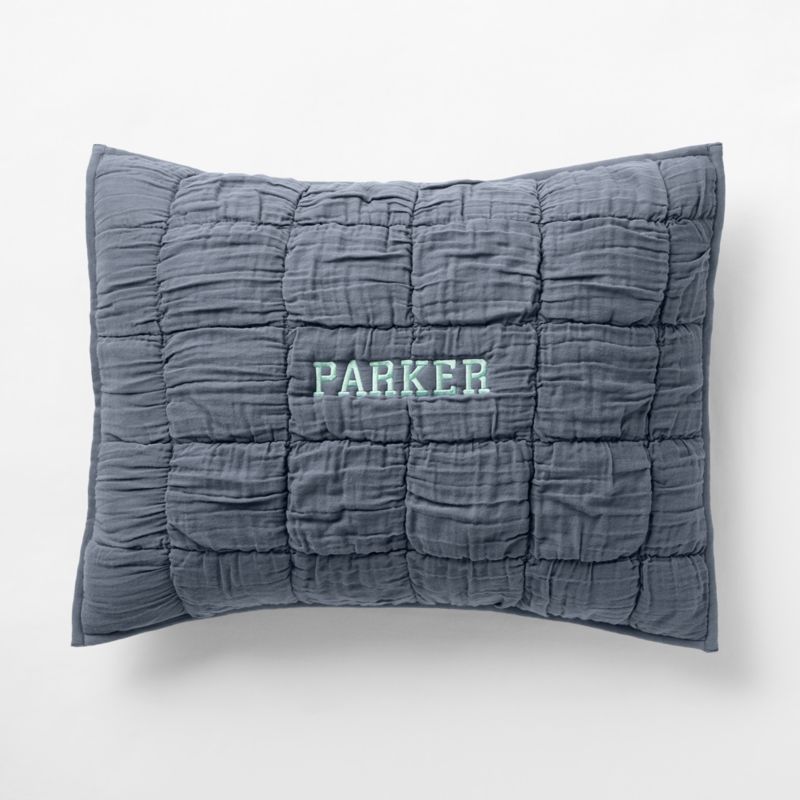Supersoft Snuggle Puff Coy Blue Organic Cotton Gauze Kids Pillow Sham - image 1 of 7