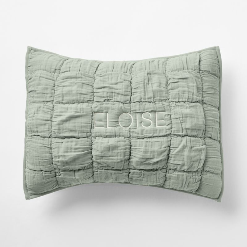 Supersoft Snuggle Puff Soft Green Organic Cotton Gauze Kids Pillow Sham - image 1 of 8