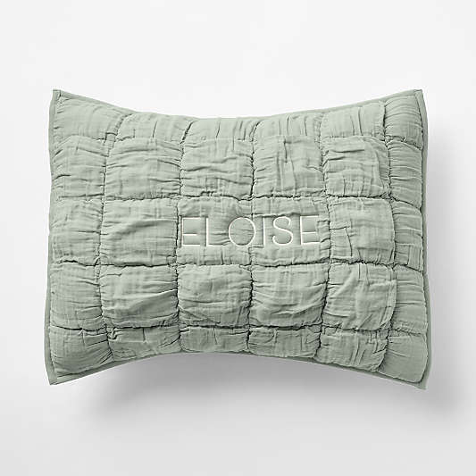 Supersoft Snuggle Puff Soft Green Organic Cotton Gauze Kids Pillow Sham