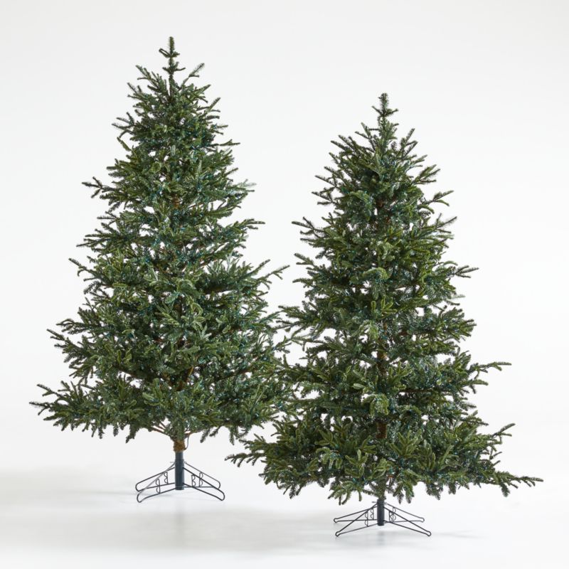 Potted Holiday Star Fir Tree Colored LED, X-Large 9' - image 2 of 7