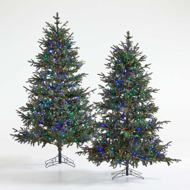 Potted Holiday Star Fir Tree Colored LED, X-Large 9' - image 1 of 7