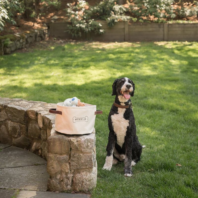 Steele ® Canvas Dog Basket - image 1 of 4