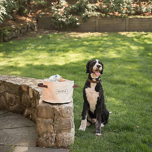 Steele ® Canvas Dog Basket
