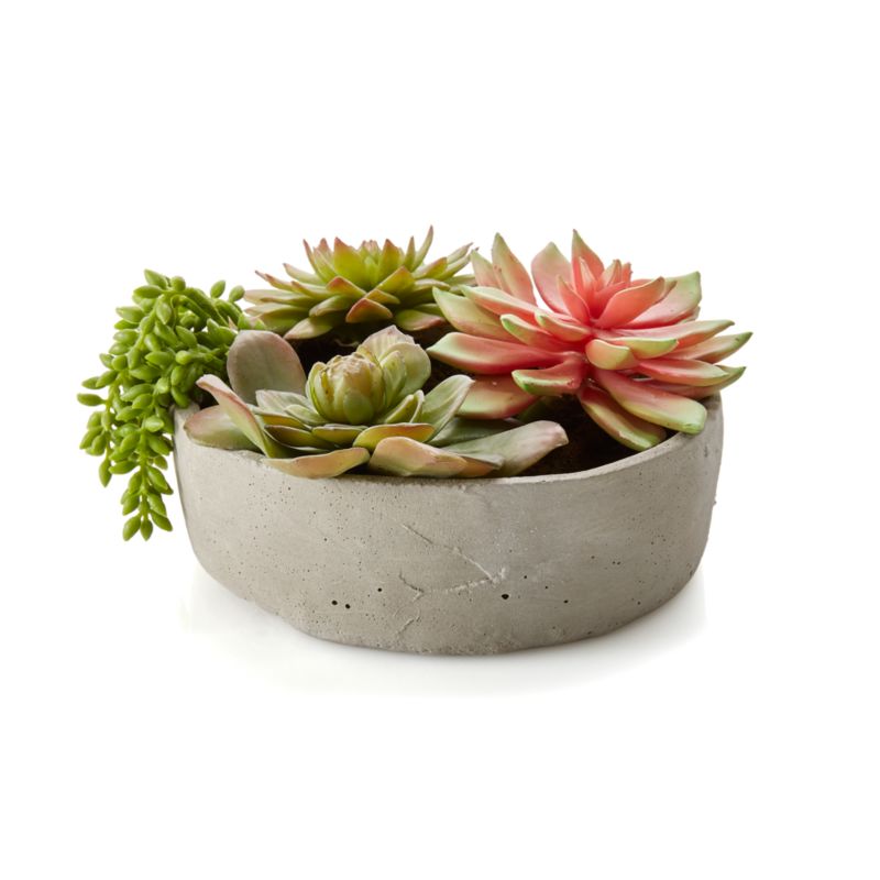 Faux Succulents in Low Round Pot - image 2 of 3