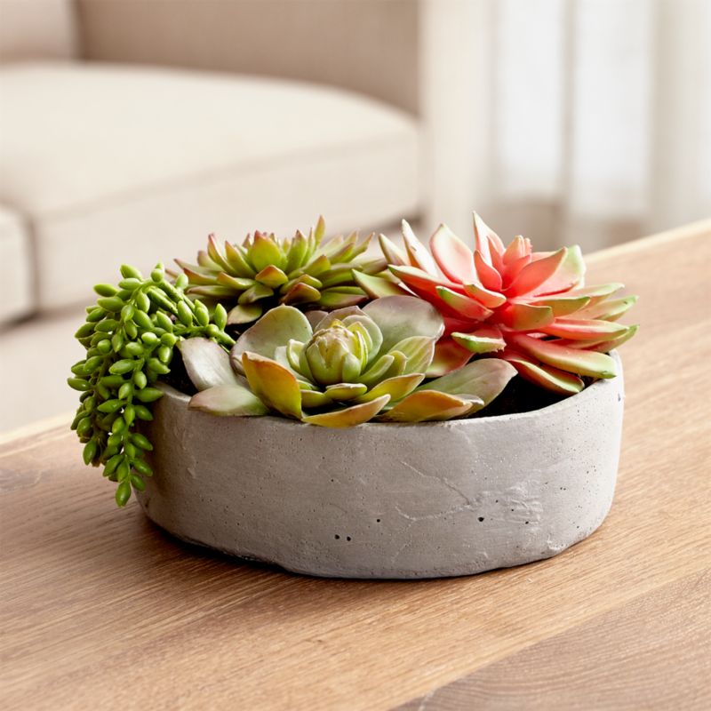 Faux Succulents in Low Round Pot