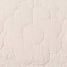 Shell Pink Daisy