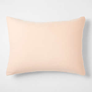 Hot Pink Border 8x8 Pillow Sham