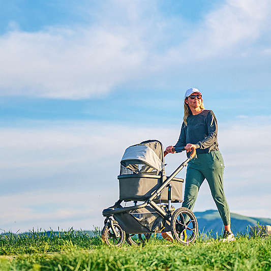 Veer ® Switch&Roll ™ Stroller Frame, Switchback Seat and Bassinet