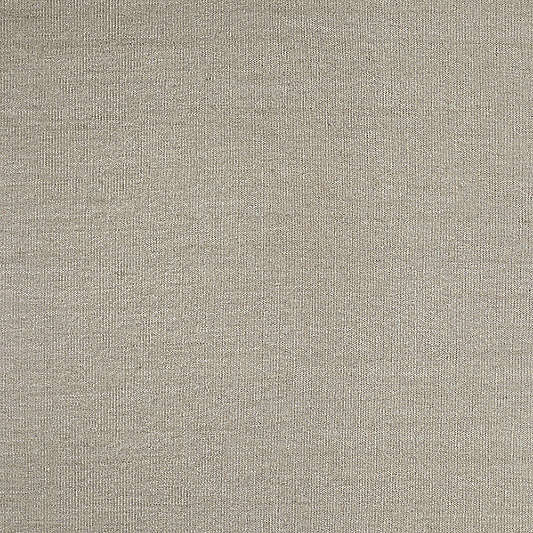 Taos Beige Indoor/Outdoor Area Rug