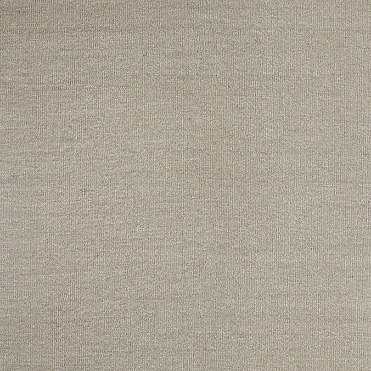 Taos Performance Handwoven Beige Indoor/Outdoor Area Rug