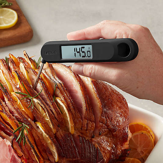 Taylor Folding Thermometer