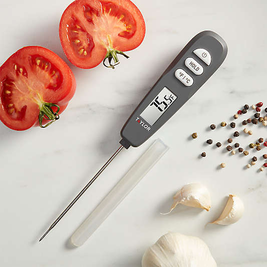 Taylor Rapid Response Thermometer