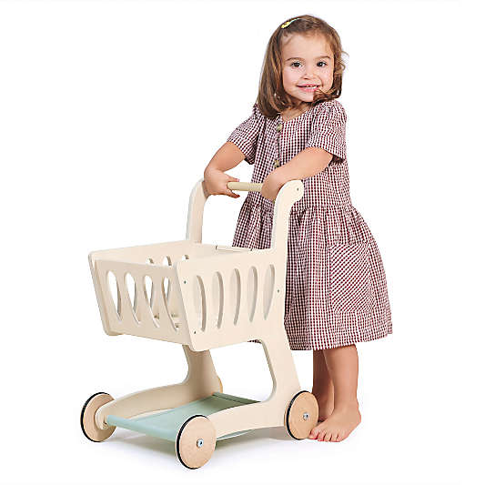 Tender Leaf Kids Wooden Shopping Cart Toy