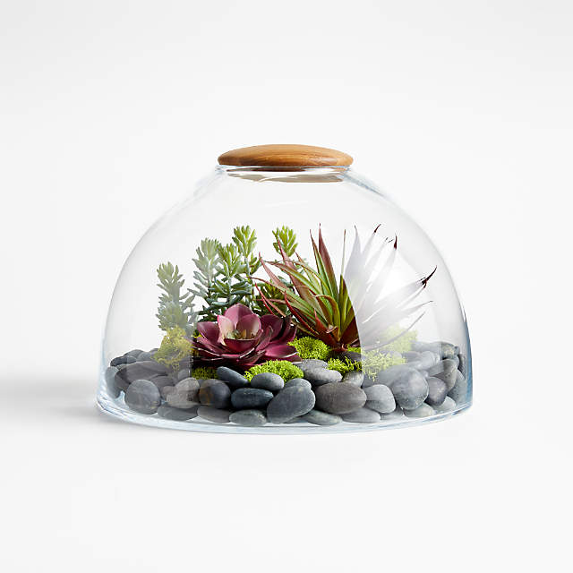 Large Glass Terrarium With Wood Lid, Large Round Glass Terrarium With Lid