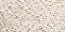 Arctic Ivory