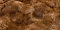 New! Maple Brown