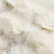 Arctic Ivory