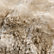 Sierra Tan