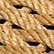 Wheat