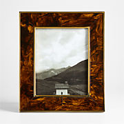 Tortoise Brass Resin 8x10 Picture Frame