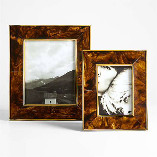 Tortoise Brass Resin Picture Frames